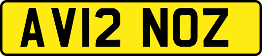 AV12NOZ