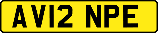 AV12NPE
