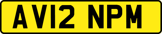 AV12NPM