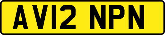 AV12NPN