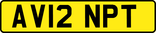 AV12NPT