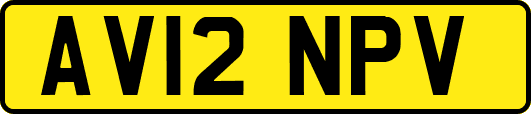 AV12NPV