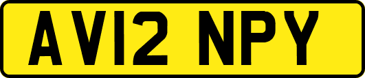 AV12NPY