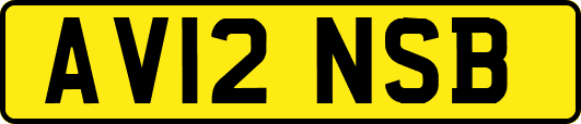 AV12NSB