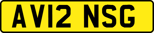 AV12NSG