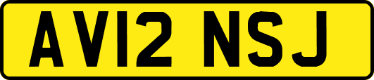 AV12NSJ