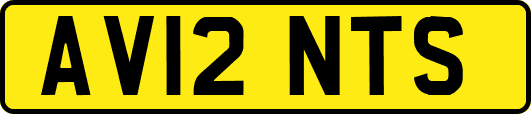 AV12NTS