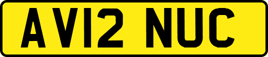 AV12NUC