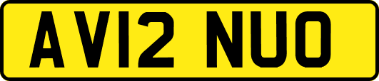 AV12NUO