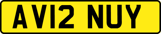 AV12NUY