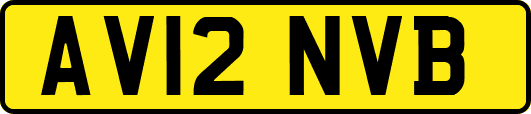 AV12NVB