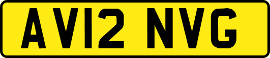 AV12NVG