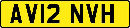 AV12NVH