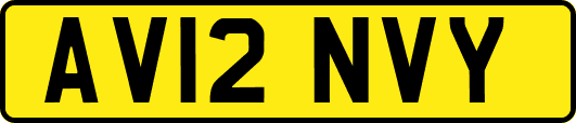 AV12NVY