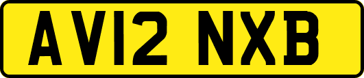 AV12NXB