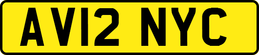 AV12NYC