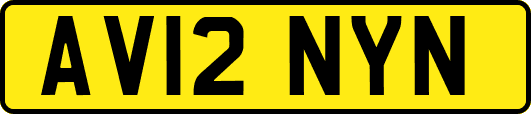 AV12NYN
