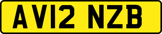 AV12NZB