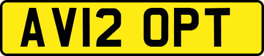 AV12OPT