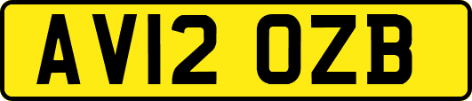 AV12OZB