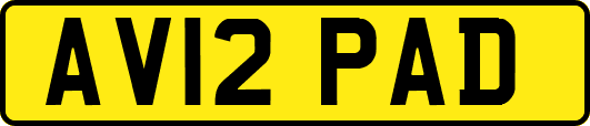 AV12PAD
