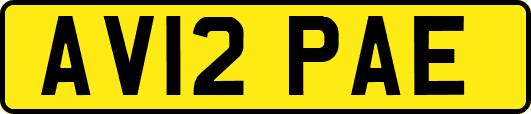 AV12PAE