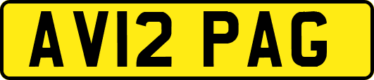 AV12PAG