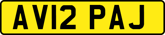 AV12PAJ