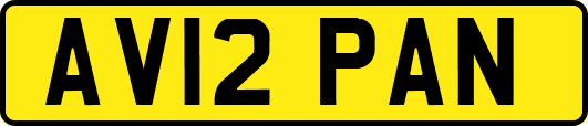 AV12PAN
