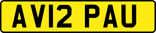 AV12PAU
