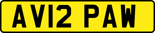 AV12PAW