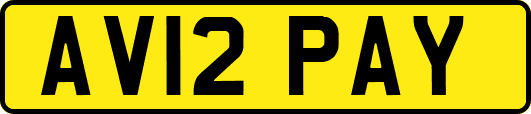 AV12PAY