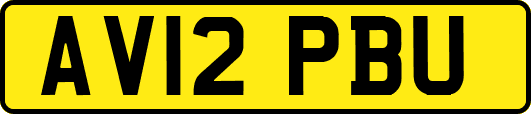 AV12PBU