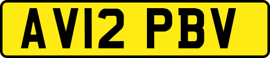 AV12PBV