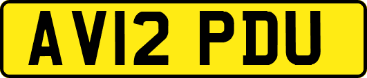 AV12PDU