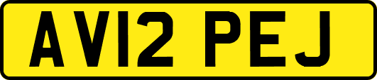 AV12PEJ
