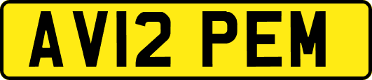 AV12PEM