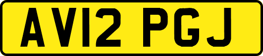 AV12PGJ