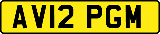 AV12PGM