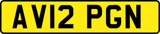 AV12PGN