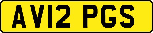 AV12PGS