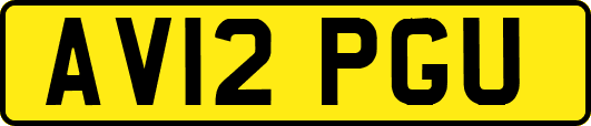 AV12PGU