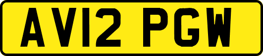AV12PGW
