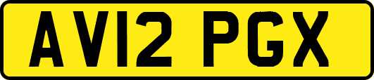 AV12PGX