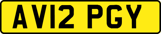 AV12PGY