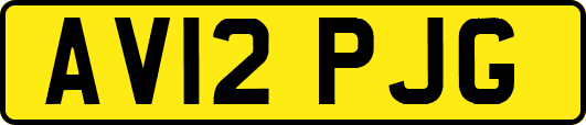 AV12PJG