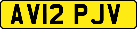 AV12PJV