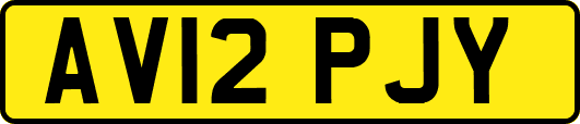 AV12PJY