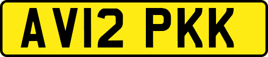 AV12PKK