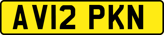 AV12PKN